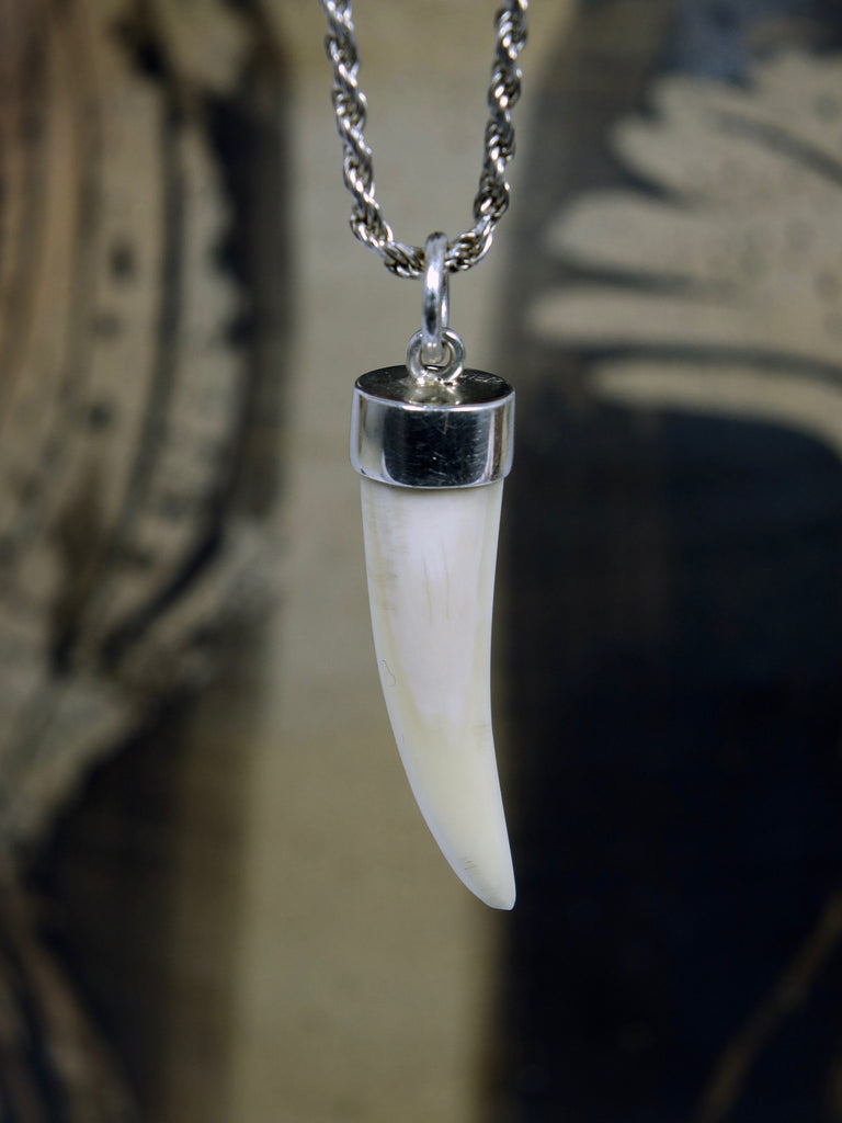 alligator tooth necklace jewelry