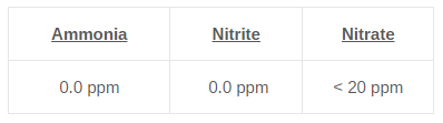 ammonia levels cycled tank