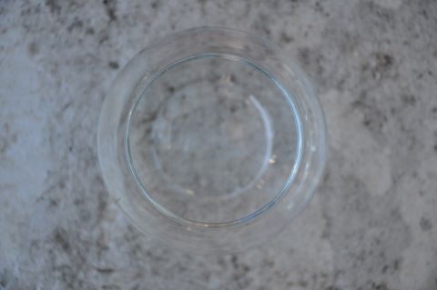 glass jar mini pond aquarium bowl