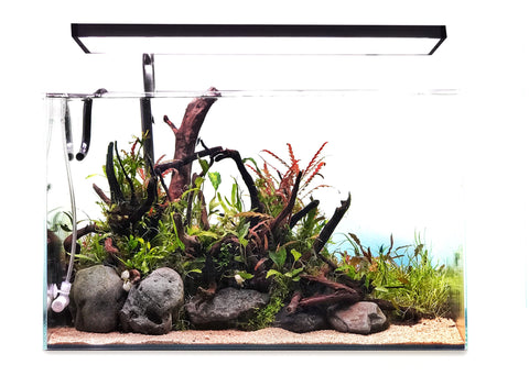 planted aquarium tank hardscape