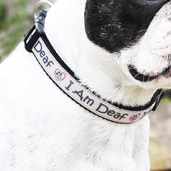 Frenchie collar dog collar with the writng I am deaf