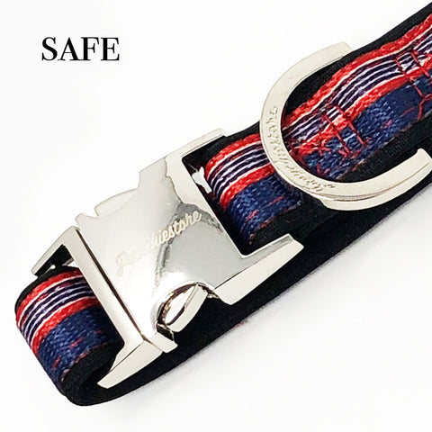 breakaway Frenchie collar