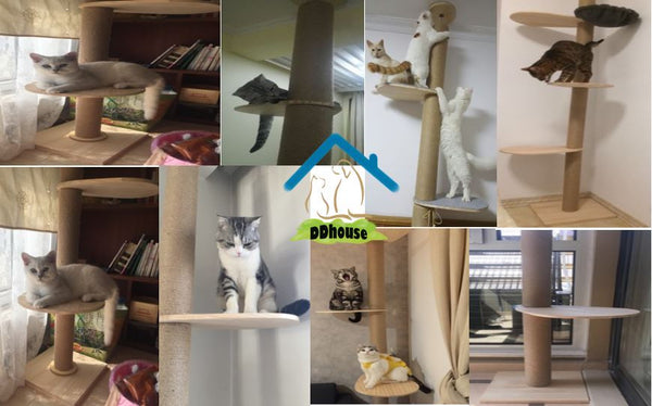 12cm Floor to Ceiling Cat Tree Cat Climbers Singapore