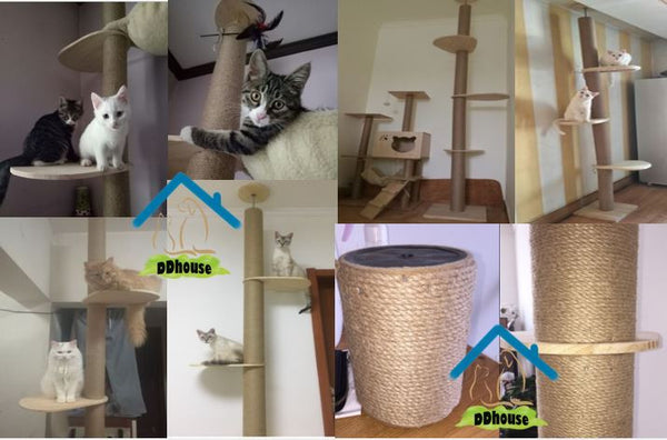 Floor to Ceiling 12 cm thicknees Cat Tree Cat Climbers Singapore