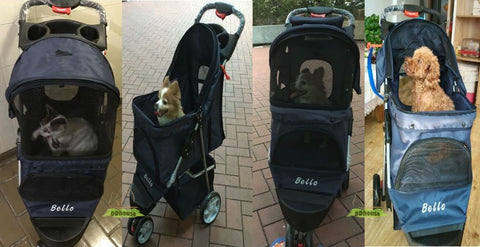 pet pram -ddhouse online pet supply 