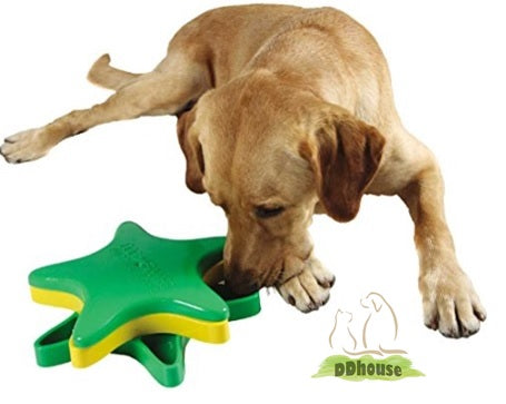DDhouse pet online store pet supplies star spinner IQ interactive toy outward hound kyjen 