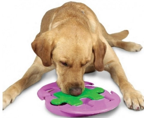 Outward Hound Jigsaw Glider Treat Puzzle With 4 Treat Chambers Kyjen Jigsaw Glider IQ Puzzle Dog Toy Singapore