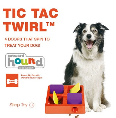 Kyjen Four Chambers Plastic Tic-Tac-Twirl Treat-Hiding Puzzle Toy Pet Dog Cat Food Slow Feeder Bowl Treat Game Outward Hound TIC TAC Twirl dog IQ Puzzle Games 