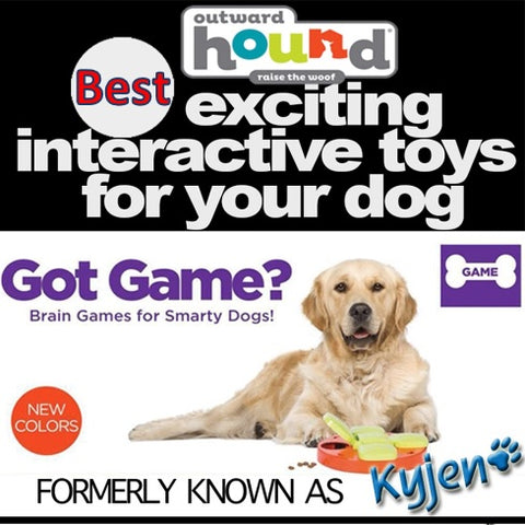 Kyjen Interactive Toys for dogs IQ dog games Paw Hide Hound Treat Toys Dog Toys Dog Puzzle Training Toys