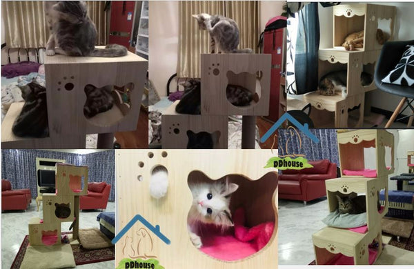 Multiple Cat House Wooden Cat Climber Cat Tree Solid Wood Singapore