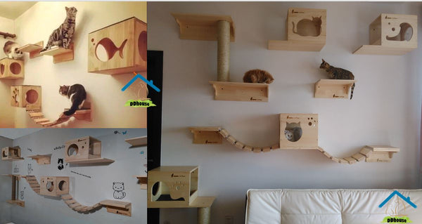 Modern Cat Perches Houses & Scratchers  Wall Mounted Singapore