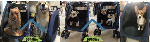 Pet Gear Expedition Pet Stroller for cats and dogs up to 55kg