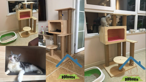 DDhouse Wooden Cat Trees In Singapore Fast Delivery