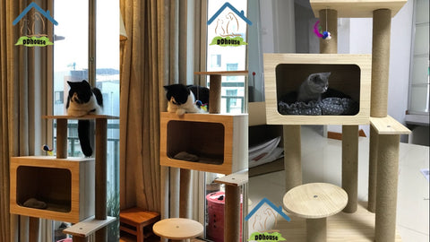 DDhouse Wooden Cat Trees Large Box In Singapore Fast Delivery