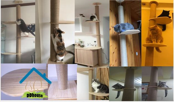 Extra Thick 12 cm Scracth Posts Wooden Cat Climbers up to ceiling no Drilling Floor to Ceiling Cat Trees