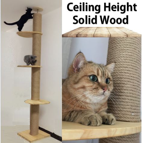 Solid Wood Ceiling Height Cat tree Floor to ceiling Cat Climbers Wooden Reach the Ceiling Cat condos