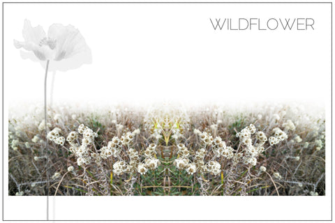 Wildflower