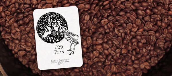 529 Plan Sommelier Crafted Specialty Coffee