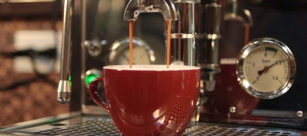 Spadafora Traditional Southern Italian Specialty Grade Espresso from Picacho Coffee Roasters