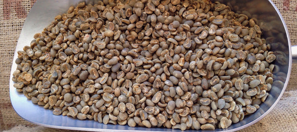 Sumatra Lintong Nihota Specialty Grade Coffee