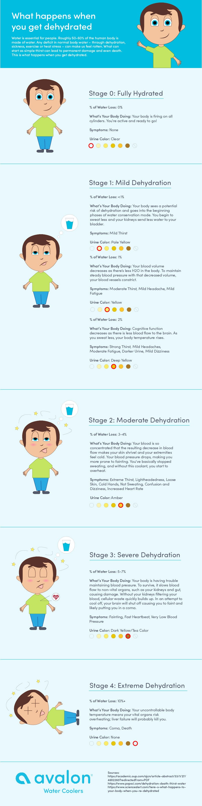 What Happens when your dehydrated? Dehydration Infographic