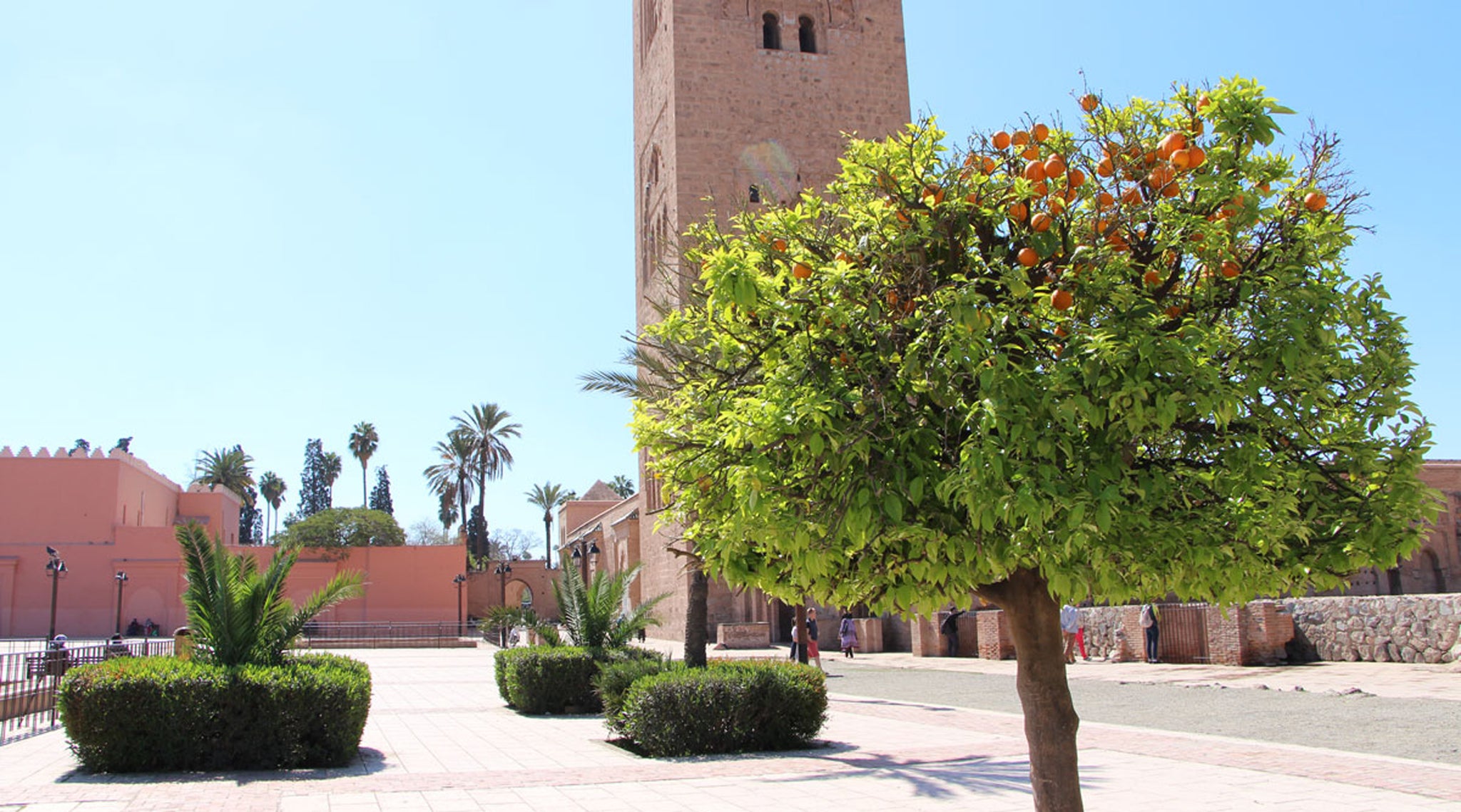 Marrakech Green Wheels