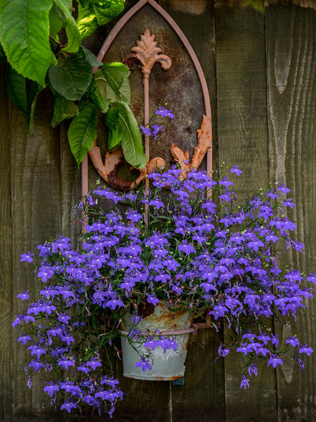 rustic wall pot with flowers