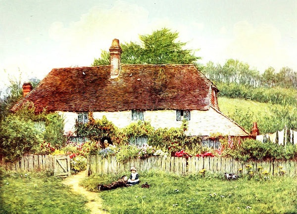 Vintage Cottage Garden