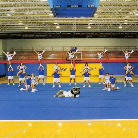 Pro X Cheerleading Mats Sportsfield Specialties Direct