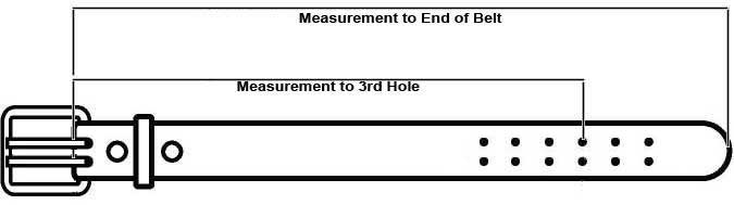 Sizing Graphic For Double Prong Belt