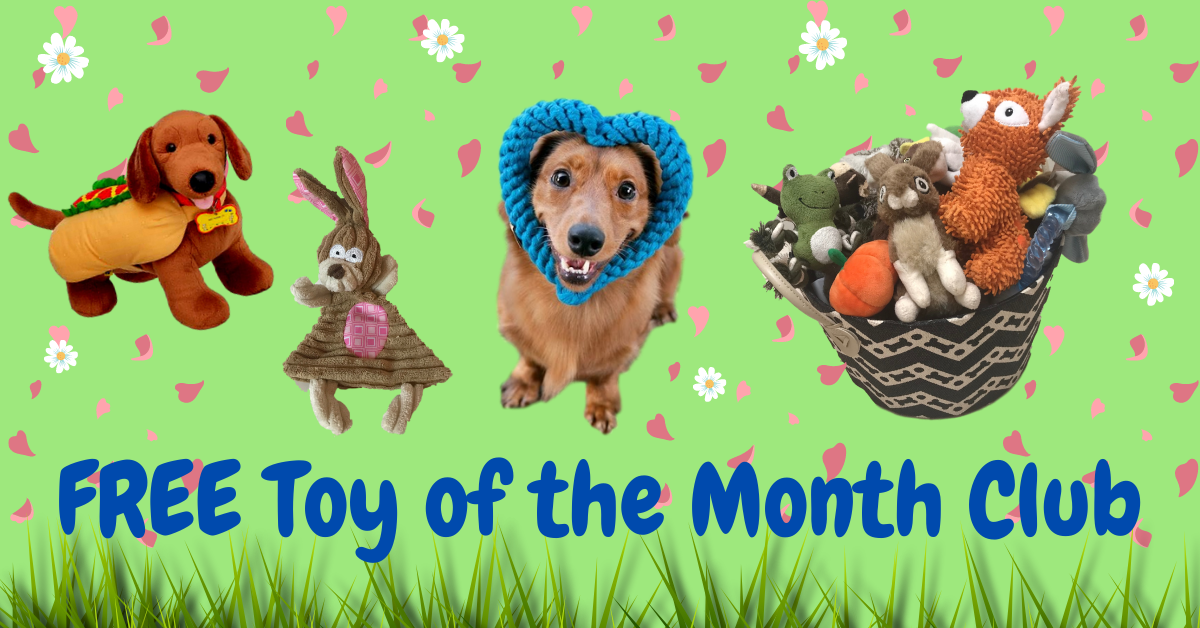 toy of the month club