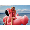 SUNNYLIFE AUSTRALIA - Inflatable Flamingo Float
