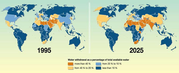 Water Pollution Facts: The Cost of Contamination