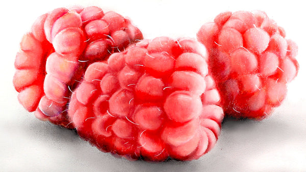 Drawing Raspberries - MG Art Gallery