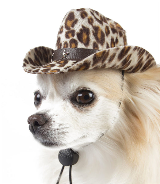 Cowboy Hats for Dogs – G.W. Little