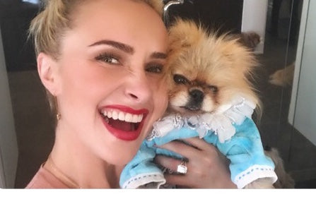 Fifi & Romeo & Hayden Panettiere & Giggy the Pom