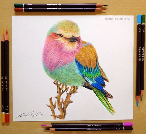 Blending With Art-n-Fly Colored Pencil and Markers