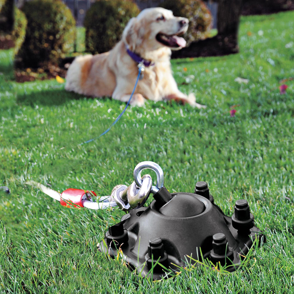 pet tie down stakes