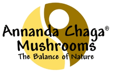 Chaga Mushroom logo