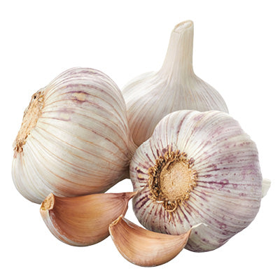 Garlic