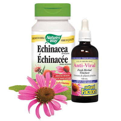 Nature's Way - Echinacea, Natural Factors - Anti-Viral