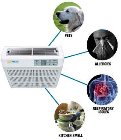 Air purifiers for pets, allergies, respiratory issues and asthma