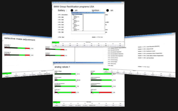 bmw diagnose software