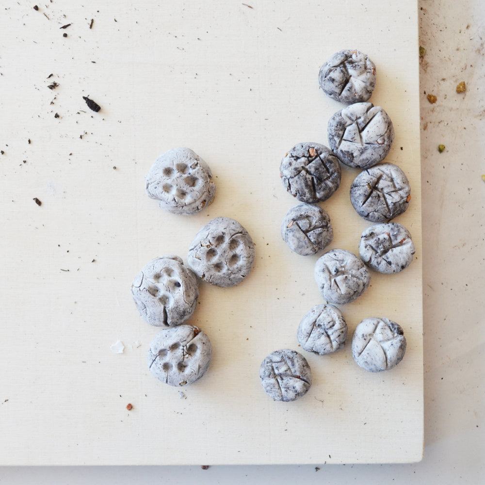 Hazel Village - Seed Balls Kids' Craft