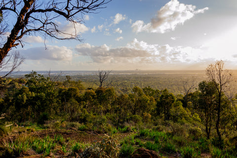 View over Perth and bushland from the Lascelles Parade lookout, Kalamunda