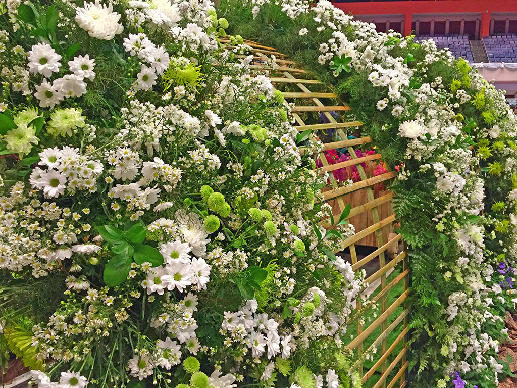 White-flower-display-Pallu-Design-Blog