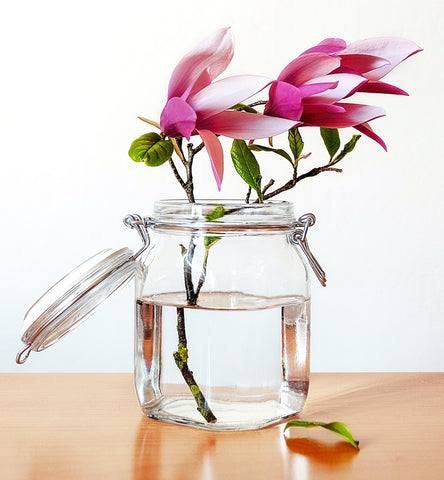 Magnolias in vase - Blog - Pallu Design