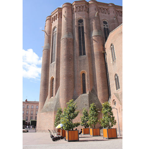 The Cathedrale of Sainte Cecile 