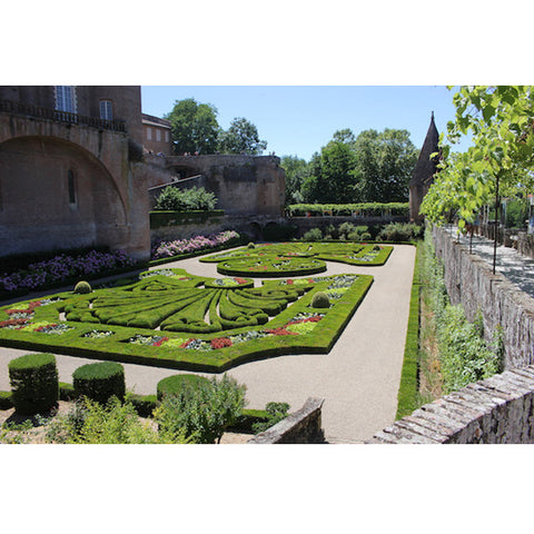 Gardens of The Cathedrale of Sainte Cecile 