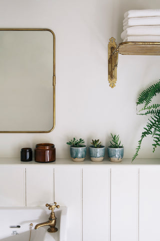 Small succulent plants in blue pots on a white shelf